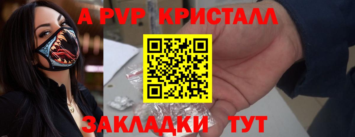 Альфа ПВП СК Торжок