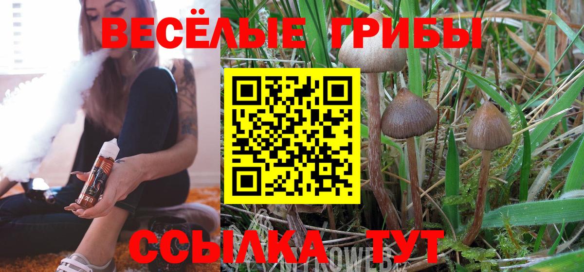 Псилоцибиновые грибы Psilocybine cubensis  наркота  Вход с VPN  Торжок  Псилоцибиновые грибы Cubensis 